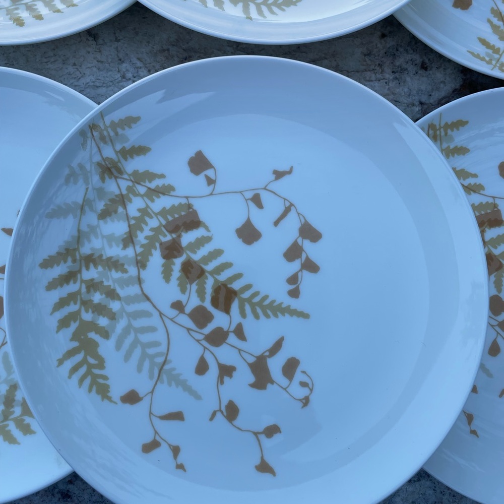 Six Mikasa 6” plates one china “Lacy fern” - Picture 2 of 6